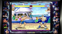 Street Fighter 30th Anniversary Collection (2018) PC | 