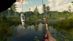 Fishing Adventure (2019) PC | RePack  SpaceX