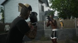 Backyard Boxing