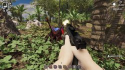 Island Notes