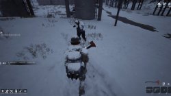 Winter Survivor Protocol