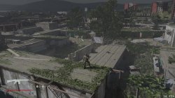 Where the forest ends